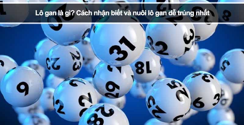 Lô gan là gì? Cách nhận biết và nuôi lô gan dễ trúng nhất