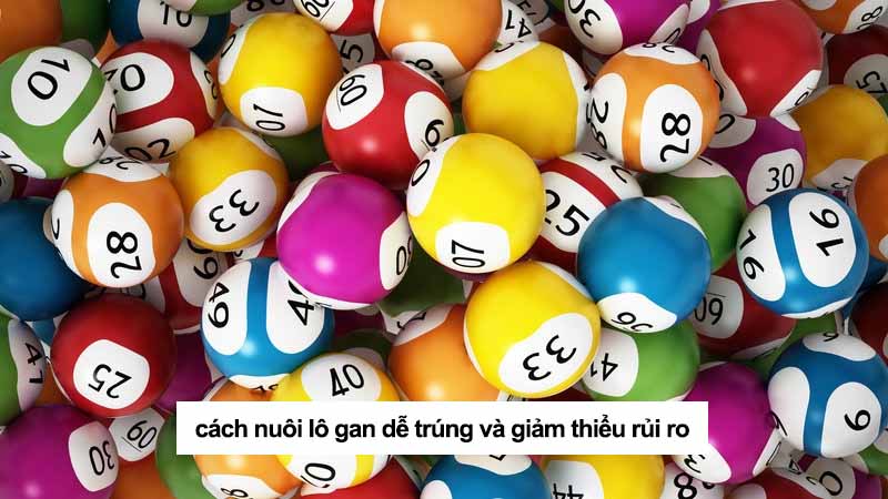 Lô gan là gì? Cách nhận biết và nuôi lô gan dễ trúng nhất