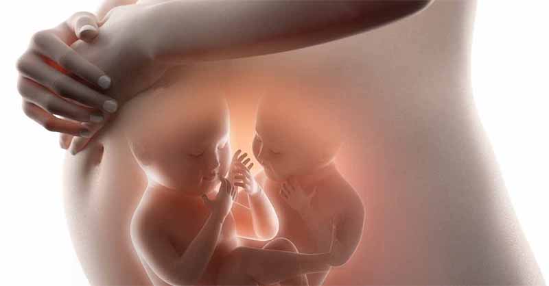 Mơ thấy có bầu tốt hay xấu? Ý nghĩa và con số may mắn đi kèm