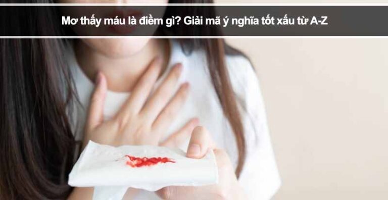 Mơ thấy máu là điềm gì? Giải mã ý nghĩa tốt xấu từ A-Z
