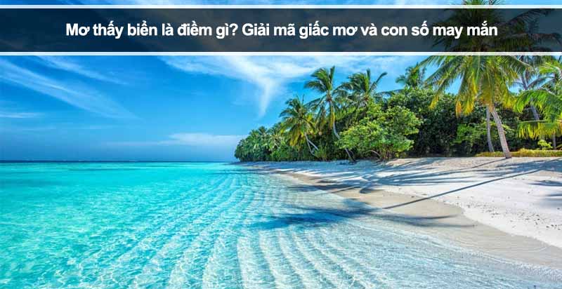 Mơ thấy biển là điềm gì? Giải mã giấc mơ và con số may mắn