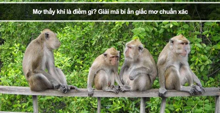 Mơ thấy khỉ là điềm gì? Giải mã bí ẩn giấc mơ chuẩn xác