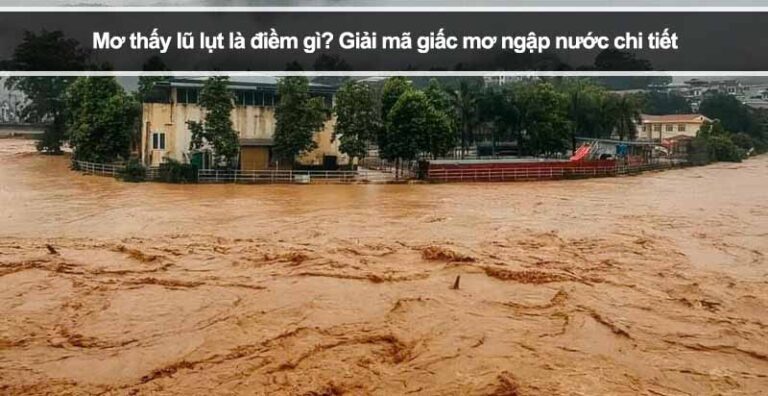 Mơ thấy lũ lụt là điềm gì? Giải mã giấc mơ ngập nước chi tiết