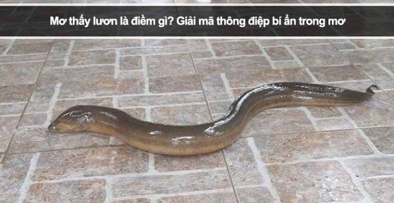 Mơ thấy lươn là điềm gì? Giải mã thông điệp bí ẩn trong mơ