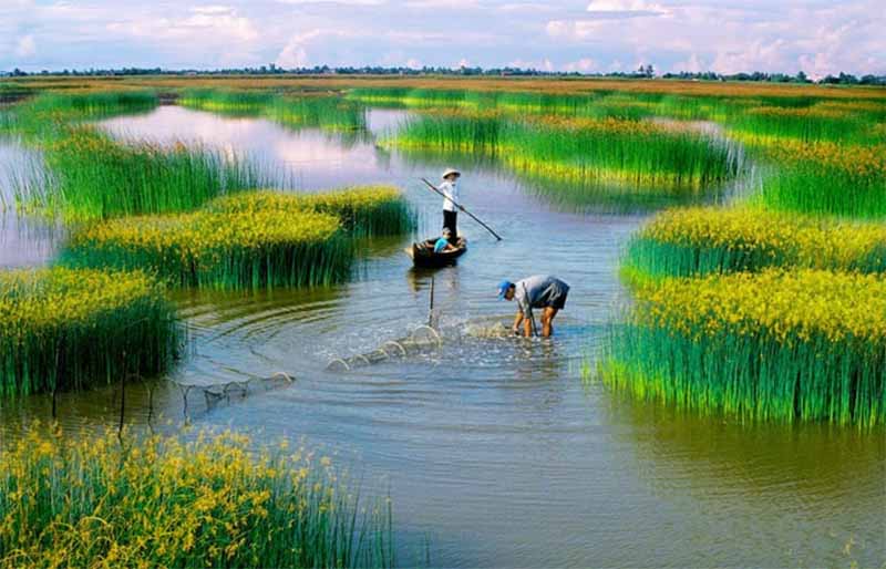 Mơ thấy sông nước là điềm gì? Hé lộ thông điệp tiềm ẩn trong mơ