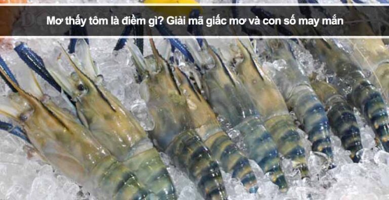 Mơ thấy tôm là điềm gì? Giải mã giấc mơ và con số may mắn