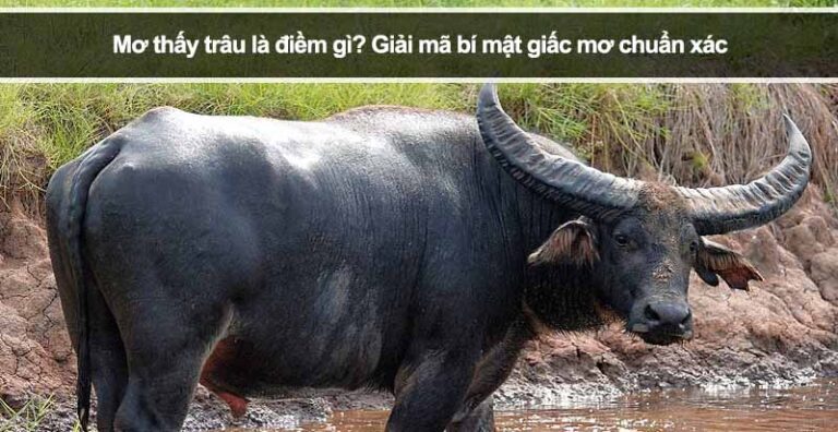 Mơ thấy trâu là điềm gì? Giải mã bí mật giấc mơ chuẩn xác
