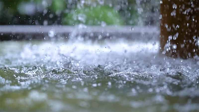 Mơ thấy trời mưa là điềm gì? Giải mã giấc mơ chi tiết nhất