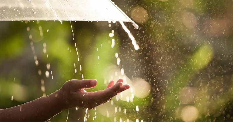 Mơ thấy trời mưa là điềm gì? Giải mã giấc mơ chi tiết nhất