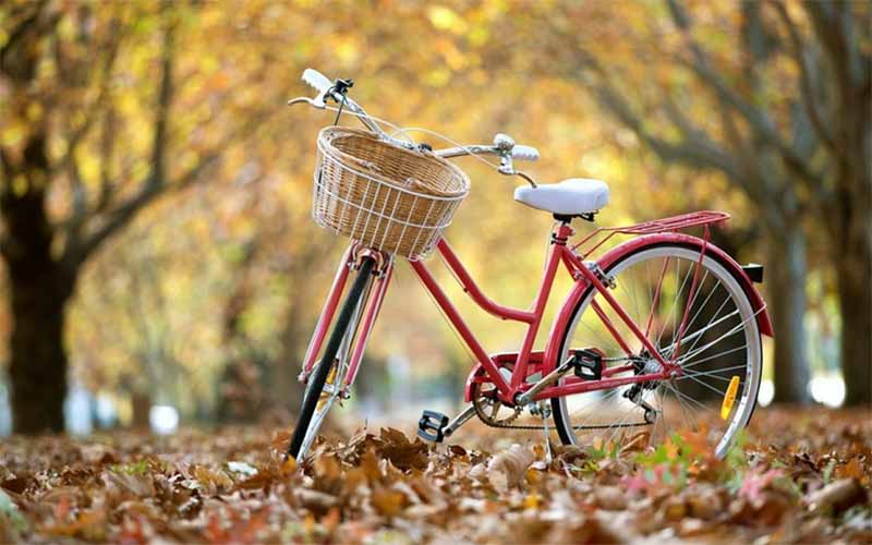 Mơ thấy xe đạp là điềm gì? Hé lộ bí mật ẩn sau giấc mơ 
