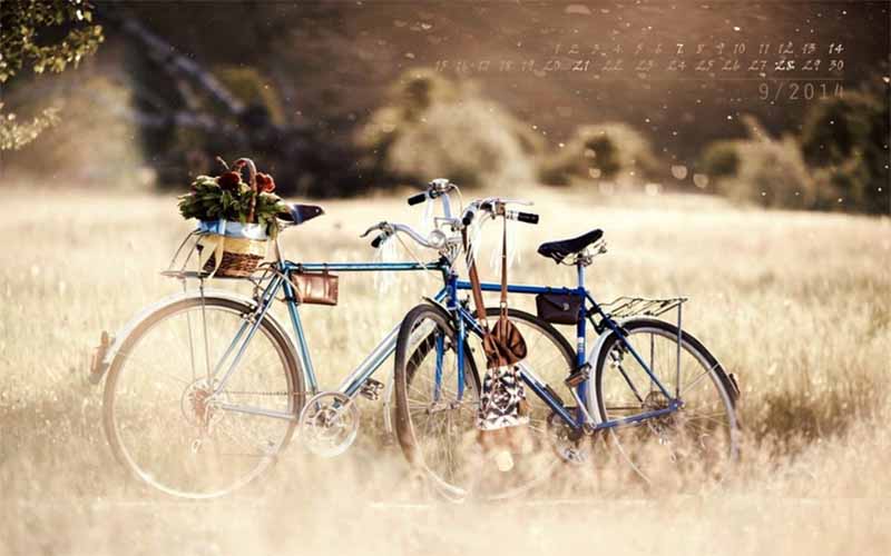 Mơ thấy xe đạp là điềm gì? Hé lộ bí mật ẩn sau giấc mơ 
